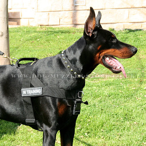 Doberman Dog Harness to Stop Dog Pulling