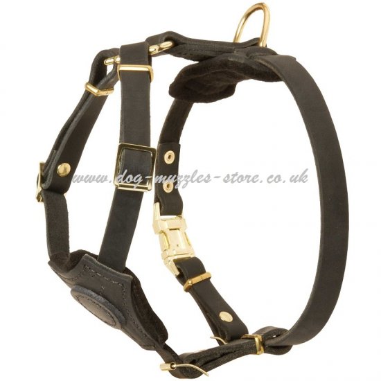 Little Dog Harness for Attractive Look of Your Pet