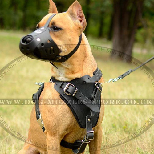 leather dog muzzles for pitbulls