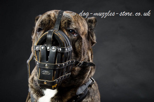 Soft Leather Dog Muzzle Royal Large Dog Muzzle For Mastiff