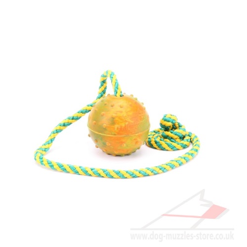 2 Inch Dog Balls on Rope Hollow Rubber Dog Ball Launcher - Click Image to Close