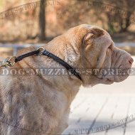 Shar Pei Dog Collar Round Leather Choker