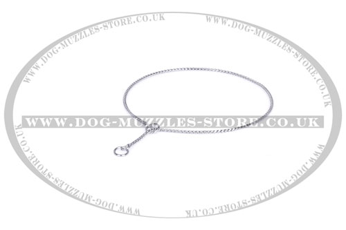 Snake Chain Best Dog Choke Collar UK