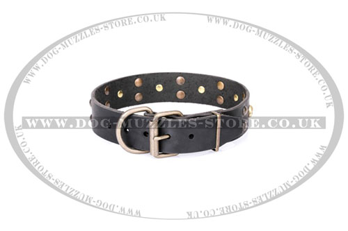 leather pirate dog collar by Artisan