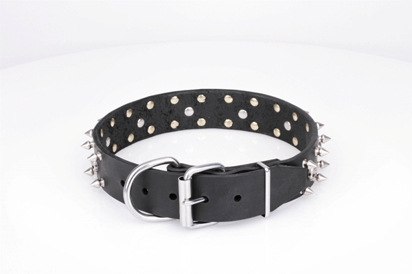 leather pirate dog collar Artisan