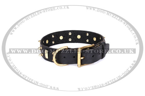 luxury dog collar from Artisan