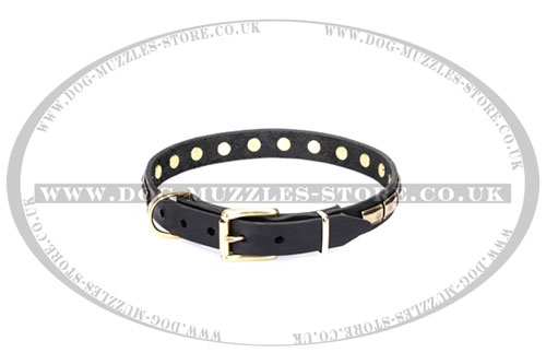 large dog collar metal buckle Artisan UK