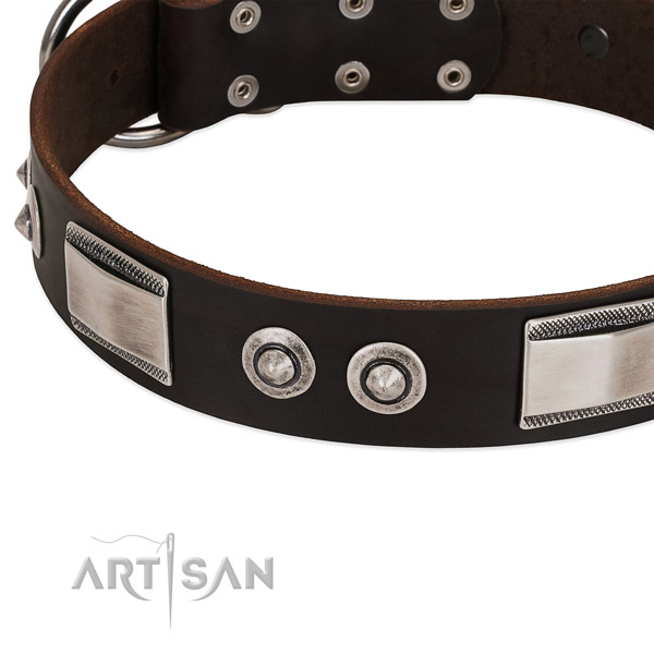 buy Artisan chocolate brown dog collar