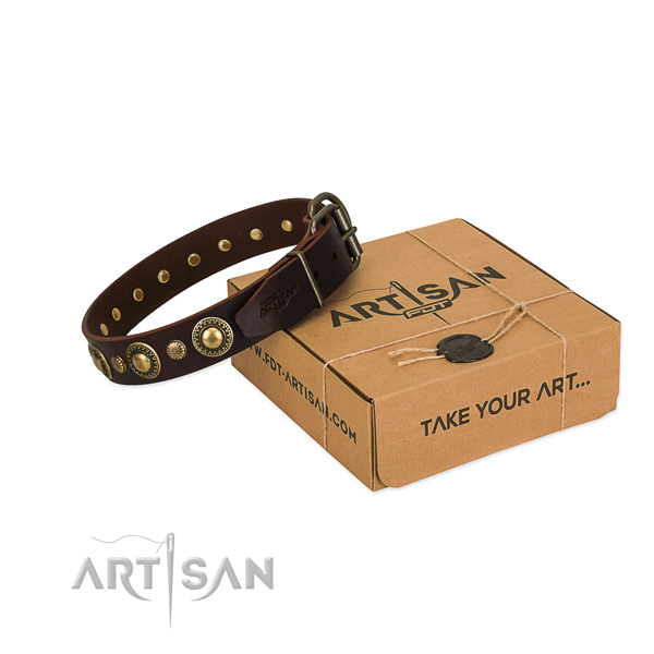 exclusive dog collar Artisan in a gift box