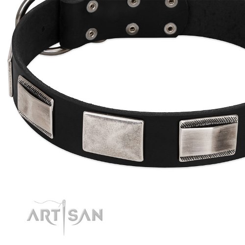 buy thick black leather dog collar Artisan online